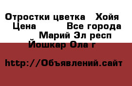 Отростки цветка  “Хойя“ › Цена ­ 300 - Все города  »    . Марий Эл респ.,Йошкар-Ола г.